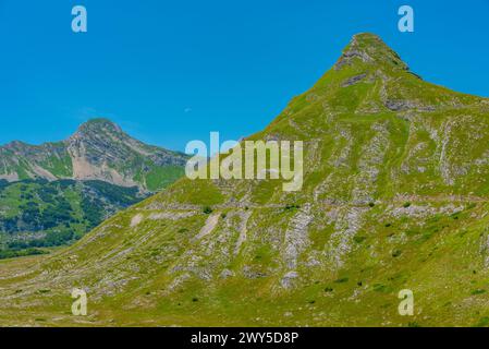 Sommets du parc national de Durmitor vus derrière une prairie, Monténégro Banque D'Images