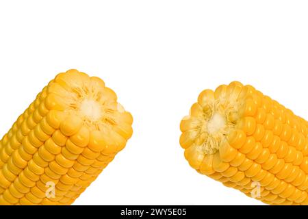 Épis de maïs doux volant cassés avec grains isolés sur fond blanc. Elément de conception pour l'étiquette de produit, l'impression de catalogue. Banque D'Images