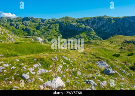 Sommets du parc national de Durmitor vus derrière une prairie, Monténégro Banque D'Images