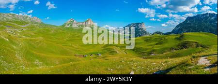 Sommets du parc national de Durmitor vus derrière une prairie, Monténégro Banque D'Images
