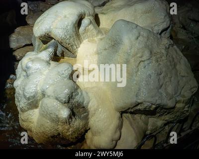 La sculpture en calcaire naturelle Roast Dinner dans le Derbyshire de Poole's Cavern Banque D'Images