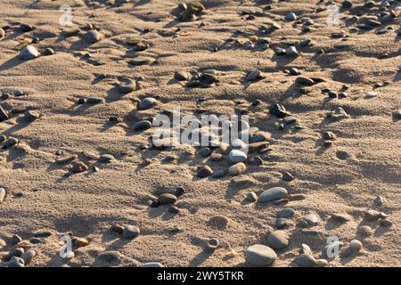 Galets sur la plage de sable avec des ombres d'un soleil bas Banque D'Images