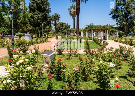 La roseraie dans le Parque General San Martin, Mendoza, Province de Mendoza, Argentine. Banque D'Images