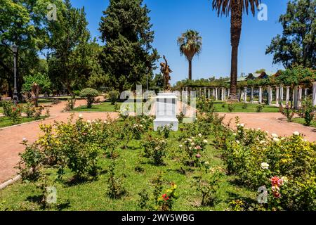 La roseraie dans le Parque General San Martin, Mendoza, Province de Mendoza, Argentine. Banque D'Images