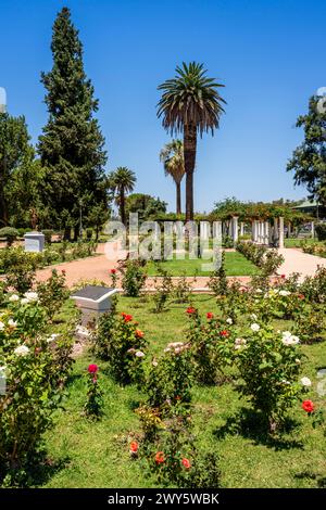 La roseraie dans le Parque General San Martin, Mendoza, Province de Mendoza, Argentine. Banque D'Images