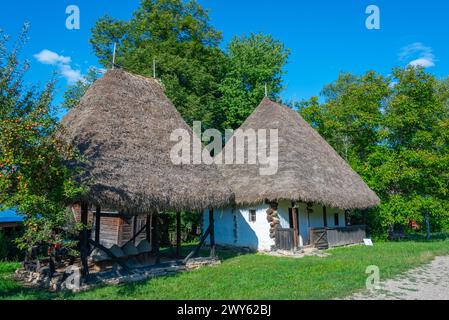 Parc ethnographique Romulus Vuia à Cluj-Napoca, Roumanie Banque D'Images