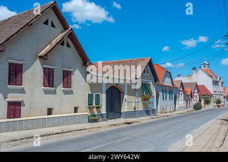 Maisons saxonnes typiques dans le village roumain Calnic Banque D'Images