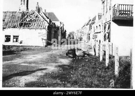 POUSSÉE BRITANNIQUE AU NORD DE MARK, HOLLANDE - l'entrée de Willemstad dévasté. , Armée britannique, 21e groupe d'armées Banque D'Images