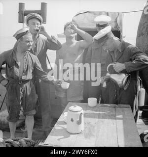 MINAGE AU LARGE D'ANZIO. MAI 1944, À BORD DU HMMS 88, COMMANDÉ PAR LE LIEUTENANT J G SCOTT, RNR. ELLE BALAYE POUR DES MINES ACOUSTIQUES ET MAGNÉTIQUES AU LARGE D'ANZIO. - La coxswain délivre la ration quotidienne de rhum. , Banque D'Images