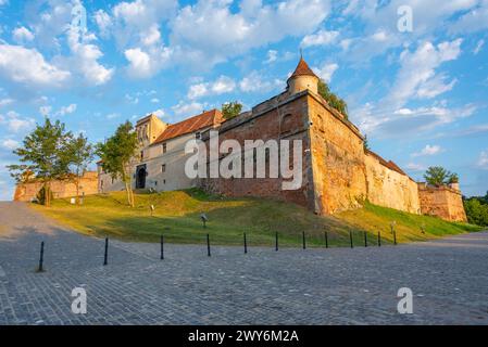La forteresse-sur-Straja dans la ville roumaine Brasov Banque D'Images