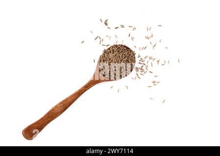 Vue de dessus des graines de zira ou des graines de cumin sur une cuillère sur un fond blanc. Assaisonnements alimentaires. Banque D'Images