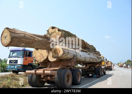 GHANA, région orientale, Nkawkaw, transport de bois sur la route de Kumasi à Accra/ GHANA, Holztransport auf Autobahn von Kumasi nach Accra Banque D'Images