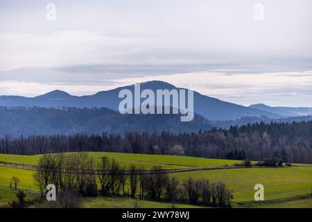 Une randonnée printanière à travers la vallée de Kirnitzschtal en Suisse saxonne - Saxe - Allemagne Banque D'Images