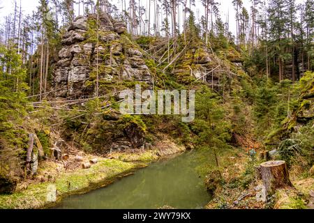 Une randonnée printanière à travers la vallée de Kirnitzschtal en Suisse saxonne - Saxe - Allemagne Banque D'Images