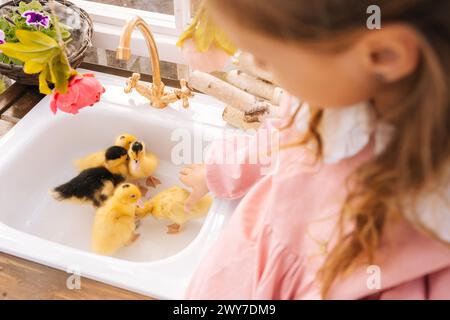 Plan recadré de petite fille aimante méconnaissable dans une belle robe jouant avec des canetons jaunes mignons dans la maison de gazebo d'été le jour ensoleillé. Banque D'Images