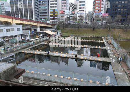 Ichigaya Fishing Center (étang de pêche) situé sur la rivière Kanda – Ichigayadaimachi, ville de Shinjuku, Tokyo, Japon – 29 février 2024 Banque D'Images