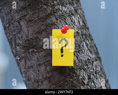 Une note de papier jaune avec un point d'interrogation épinglé sur un arbre. Gros plan. Banque D'Images