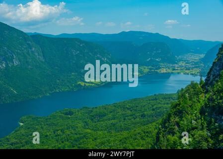 Vue aérienne du lac Bohinj en Slovénie Banque D'Images