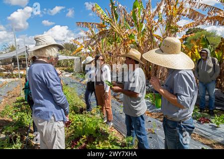 San Pablo Huitzo, Oaxaca, Mexique - les agriculteurs font partie d'une coopérative qui utilise des principes agroécologiques. Ils évitent les pesticides et autres produits chimiques, a Banque D'Images