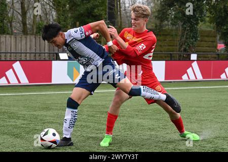 AMSTERDAM - (g-d) Edwin Soto du CF Pachuca U17, Victor Gustafsen FC Nordsjaelland U17 lors du match Ajax future Cup 2024 entre CF Pachuca O17 et FC Nordsjaelland O17 au complexe sportif de Toekomst le 1er avril 2024 à Amsterdam, pays-Bas. ANP | Hollandse Hoogte | GERRIT VAN COLOGNE Banque D'Images