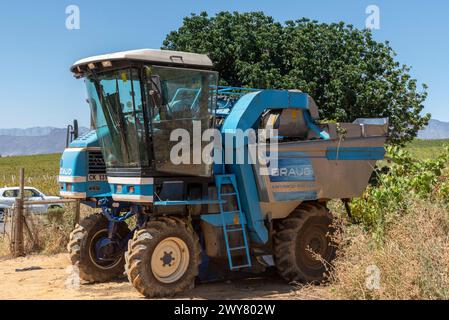 Riebeek West, Western Cape, Afrique du Sud. 27. 02. 2024. Machine à vendanger dans un vignoble de la région de Swartland en Afrique du Sud. Banque D'Images