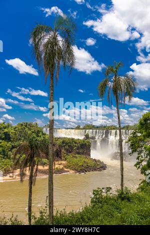 Cascade d'Iguazu en Argentine nad Brésil. Iguassu tombe en climat tropical dans la jungle verte. Ruisseau en cascade sur la rivière Iguazu, cataratas Iguasu Banque D'Images