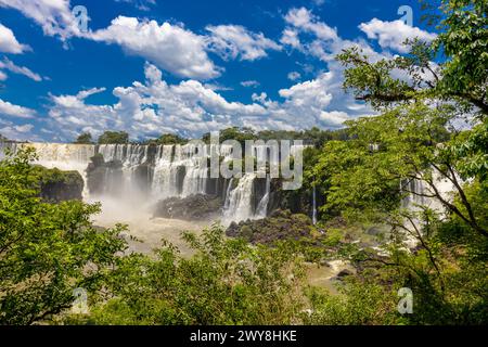 Cascade d'Iguazu en Argentine nad Brésil. Iguassu tombe en climat tropical dans la jungle verte. Ruisseau en cascade sur la rivière Iguazu, cataratas Iguasu Banque D'Images