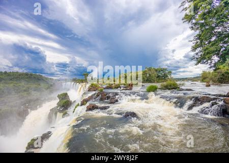 Cascade d'Iguazu en Argentine nad Brésil. Iguassu tombe en climat tropical dans la jungle verte. Ruisseau en cascade sur la rivière Iguazu, cataratas Iguasu Banque D'Images