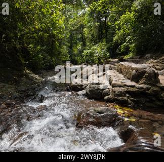 Cascade et zone de baignade dans Rainmaker conservation Park à Parrita Costa Rica Banque D'Images