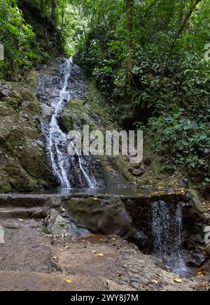 Petite cascade à la zone de natation dans Rainmaker Park au Costa Rica Banque D'Images