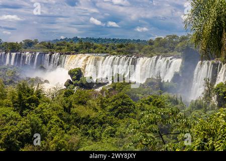 Cascade d'Iguazu en Argentine nad Brésil. Iguassu tombe en climat tropical dans la jungle verte. Ruisseau en cascade sur la rivière Iguazu, cataratas Iguasu Banque D'Images