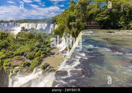 Cascade d'Iguazu en Argentine nad Brésil. Iguassu tombe en climat tropical dans la jungle verte. Ruisseau en cascade sur la rivière Iguazu, cataratas Iguasu Banque D'Images