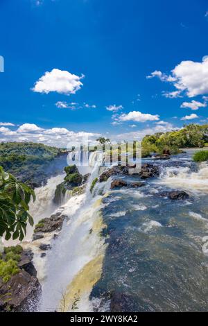 Cascade d'Iguazu en Argentine nad Brésil. Iguassu tombe en climat tropical dans la jungle verte. Ruisseau en cascade sur la rivière Iguazu, cataratas Iguasu Banque D'Images