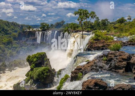 Cascade d'Iguazu en Argentine nad Brésil. Iguassu tombe en climat tropical dans la jungle verte. Ruisseau en cascade sur la rivière Iguazu, cataratas Iguasu Banque D'Images