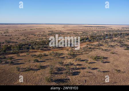 Le ruisseau Talyawalka longe la rivière Darling, juste près de Tilpa jusqu'à Menindee au sud. Outback NSW Australie. Banque D'Images