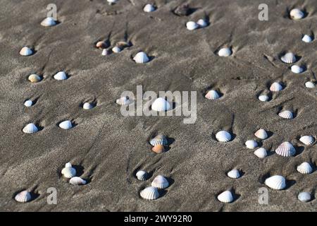 Toutes les textures trouvées près de Beach Pier Like Old Boat, Sand, Moss, Broken Concrete, Painted Metals, pavés, empreintes de pieds Banque D'Images