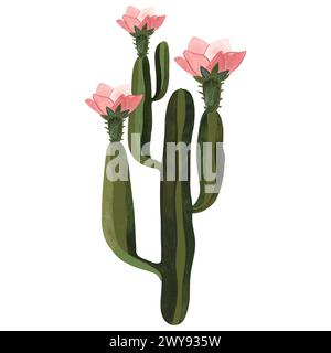 Cactus fleuri avec des fleurs roses. Plantes pour la maison. Floriculture. Flore du désert. Illustration d'aquarelle isolée sur fond blanc. Clipart. Banque D'Images