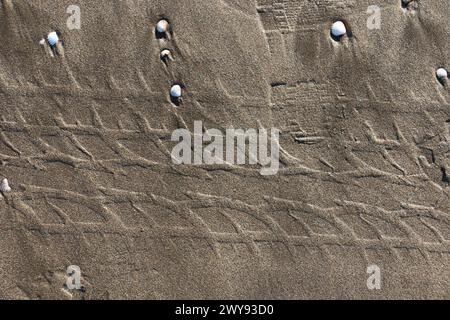 Toutes les textures trouvées près de Beach Pier Like Old Boat, Sand, Moss, Broken Concrete, Painted Metals, pavés, empreintes de pieds Banque D'Images