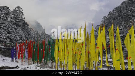 hiver froid glacial dans la vallée de yumthang, drapeaux de prière bouddhistes volant dans la vallée, entouré par les montagnes et la forêt de l'himalaya, au nord du sikkim en inde Banque D'Images