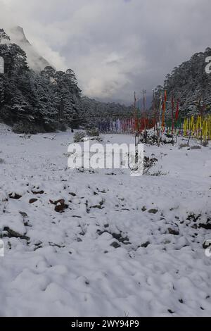 hiver froid glacial dans la vallée de yumthang, drapeaux de prière bouddhistes volant dans la vallée, entouré par les montagnes et la forêt de l'himalaya, au nord du sikkim en inde Banque D'Images