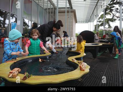 San Francisco, États-Unis. 4 avril 2024. Les gens visitent l'Académie des sciences de Californie lors de la Journée de l'Académie à San Francisco, Californie, États-Unis, le 4 avril 2024. L’Académie des sciences de Californie a célébré son 171e anniversaire avec diverses activités jeudi. Crédit : Liu Yilin/Xinhua/Alamy Live News Banque D'Images