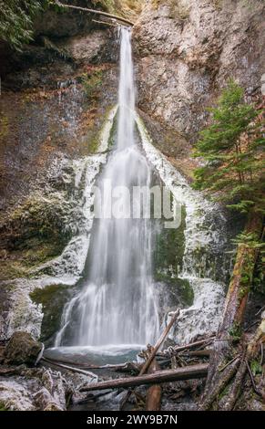 Une cascade élancée tombe d’une falaise moussue entourée de glace et de givre dans un bassin rocheux aux chutes Marymere, parc national Olympique, Washington. Banque D'Images