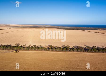 Antenne d'une moissonneuse-batteuse récoltant un champ de blé près de la péninsule d'Eyre de Tumby Bay, Australie méridionale Banque D'Images