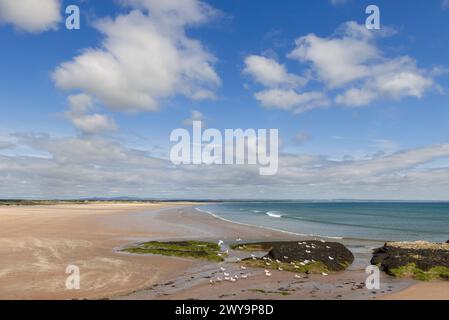 La plage de St Andrews, encadrée par un ciel bleu vif avec des nuages éparpillés, met en valeur la côte sereine avec des vagues caressant doucement le rivage de sable, selon Banque D'Images