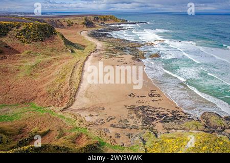 Sunnyside Beach Cullen Aberdeenshire Écosse vue sur le littoral la plage de rochers et de sable la mer et la gorge jaune au printemps Banque D'Images