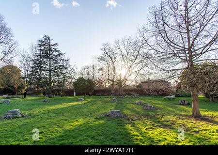 L'espace jardin extérieur de Dulwich Picture Gallery au crépuscule / coucher de soleil à Londres, Royaume-Uni Banque D'Images