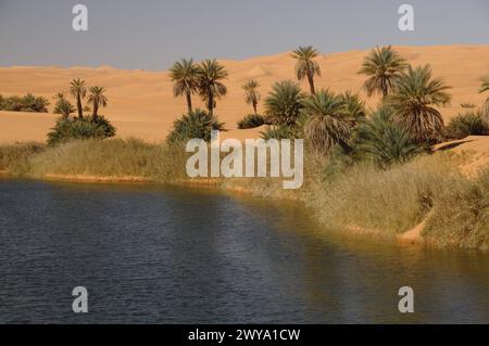 Pittoresques dunes oranges de l'Oasis d'Ubari, désert du Sahara, Libye, Afrique du Nord Copyright : MichaelxSzafarczyk 1235-2105 Banque D'Images