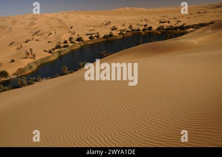 Pittoresques dunes oranges de l'Oasis d'Ubari, désert du Sahara, Libye, Afrique du Nord Copyright : MichaelxSzafarczyk 1235-2101 Banque D'Images