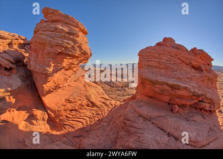 Une paire de hoodoos en grès à Ferry Swale dans la zone de loisirs de Glen Canyon près de page, Arizona, États-Unis d'Amérique, Amérique du Nord Copyright : S Banque D'Images