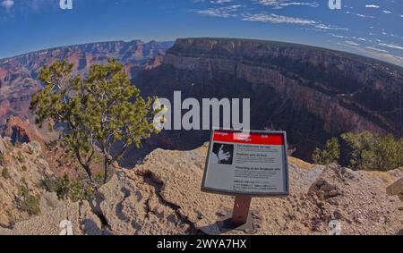Un panneau en différentes langues avertissant d'une falaise dangereuse à West Vista du Trailview Overlook le long du sentier de bordure de Hermit Road, Grand Canyon, Banque D'Images